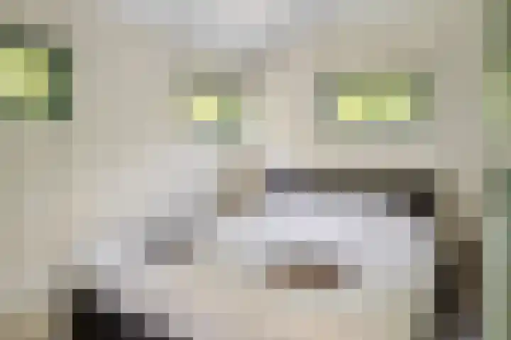 Burgvliet 69 Oostkapelle thumbnail 12