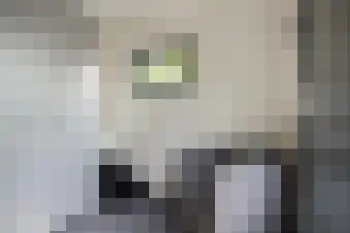 Burgvliet 69 Oostkapelle thumbnail 13