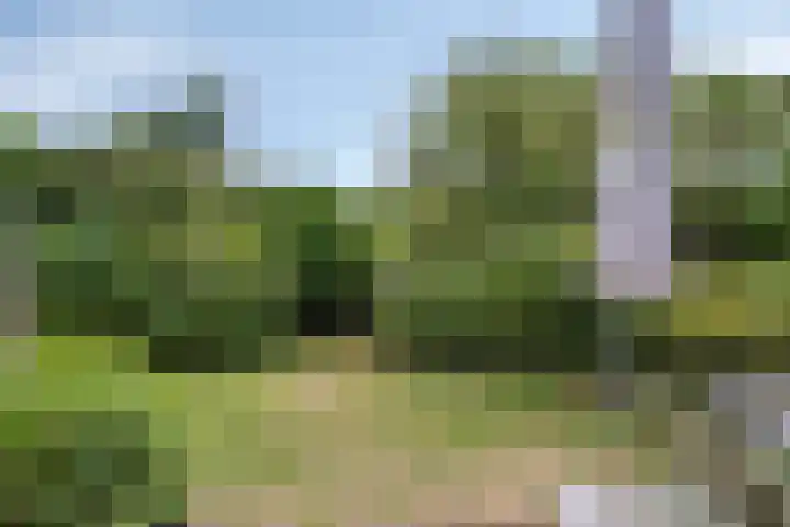 Burgvliet 69 Oostkapelle thumbnail 14