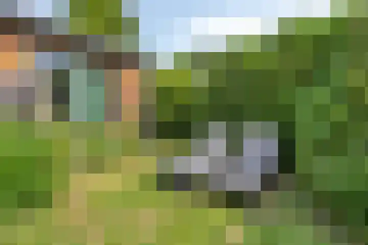 Burgvliet 69 Oostkapelle thumbnail 16
