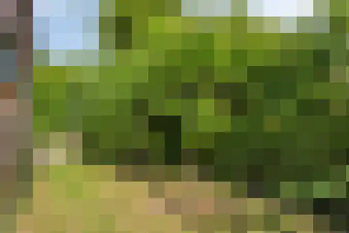 Burgvliet 69 Oostkapelle thumbnail 17