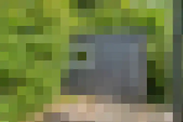 Burgvliet 69 Oostkapelle thumbnail 18