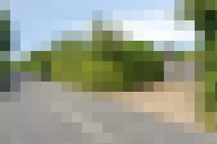 Burgvliet 69 Oostkapelle thumbnail 19