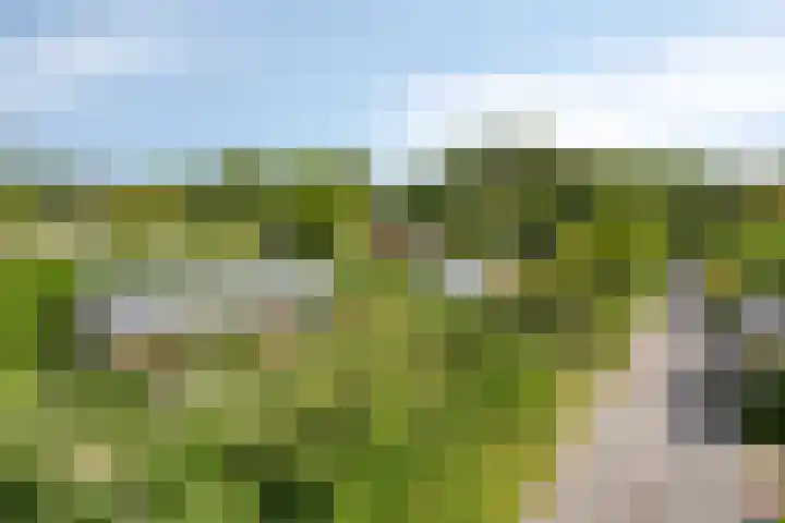 Burgvliet 69 Oostkapelle thumbnail 20