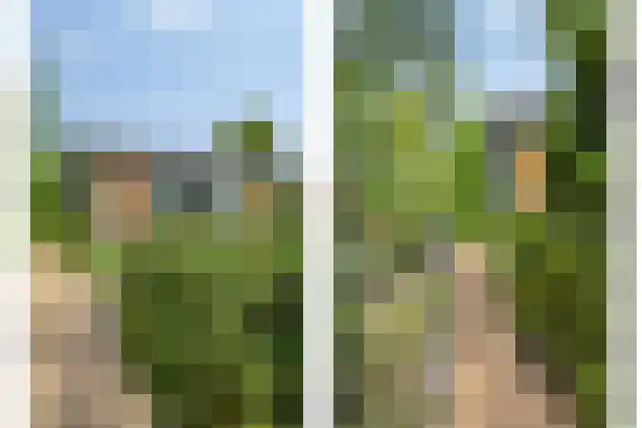 Burgvliet 69 Oostkapelle thumbnail 5