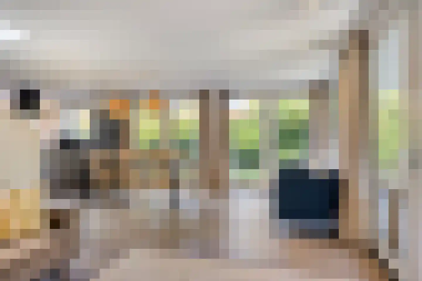 Burgvliet 90 Oostkapelle thumbnail 13