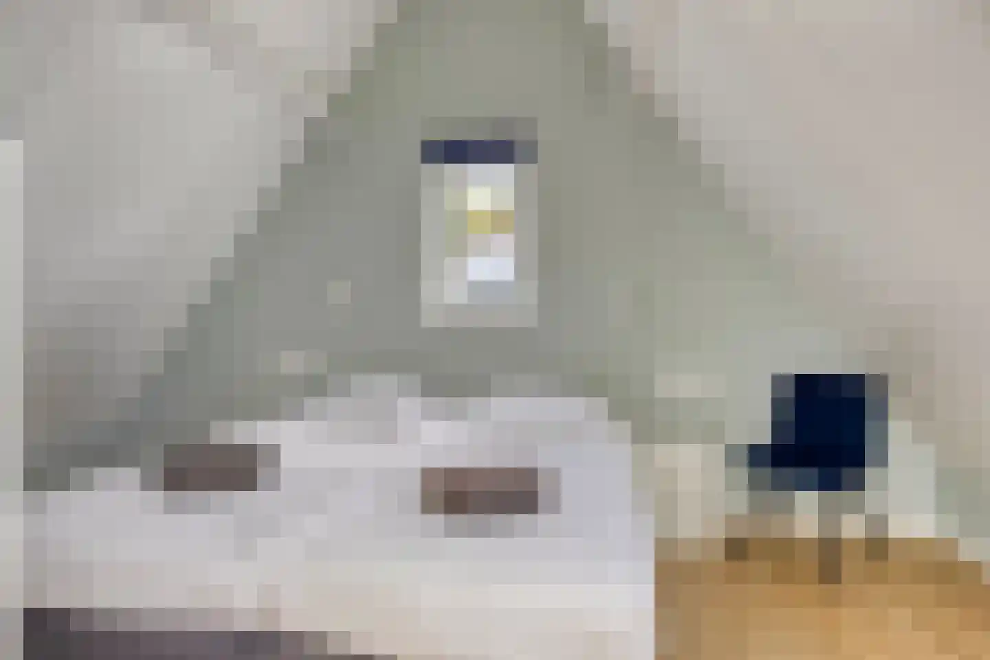 Burgvliet 90 Oostkapelle thumbnail 16