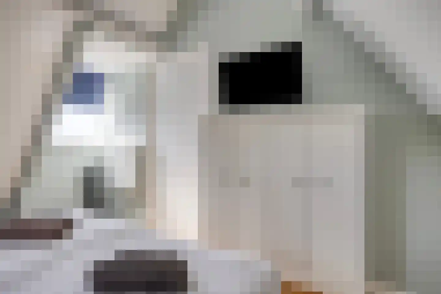 Burgvliet 90 Oostkapelle thumbnail 17