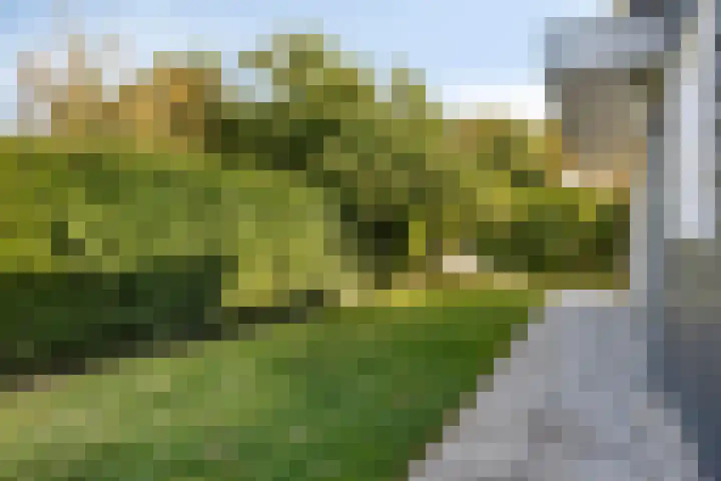 Burgvliet 90 Oostkapelle thumbnail 23