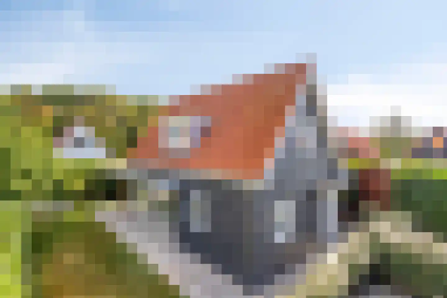 Burgvliet 90 Oostkapelle thumbnail 25