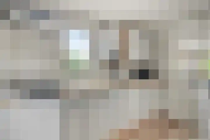 Burgvliet 91 Oostkapelle thumbnail 15