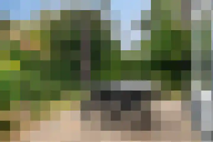 Burgvliet 91 Oostkapelle thumbnail 21