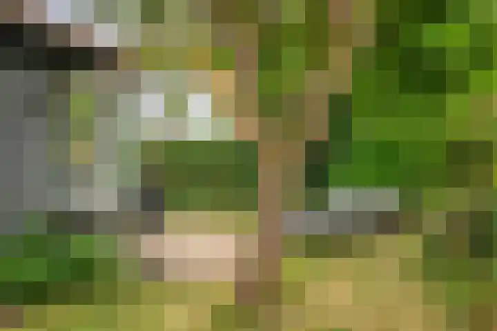 Burgvliet 91 Oostkapelle thumbnail 23