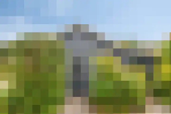 Burgvliet 91 Oostkapelle thumbnail 6