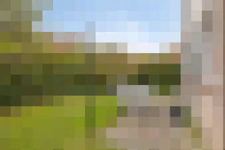 Burgvliet 92 Oostkapelle thumbnail 26