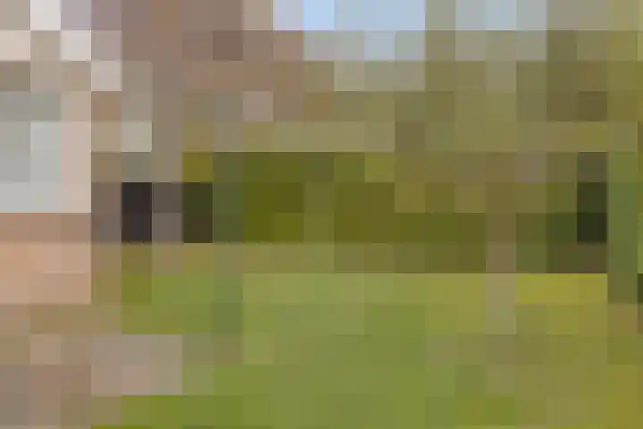 Burgvliet 92 Oostkapelle thumbnail 28