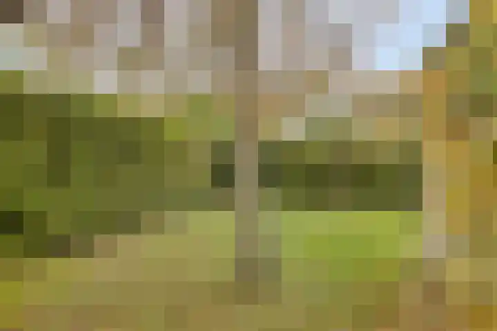 Burgvliet 92 Oostkapelle thumbnail 30