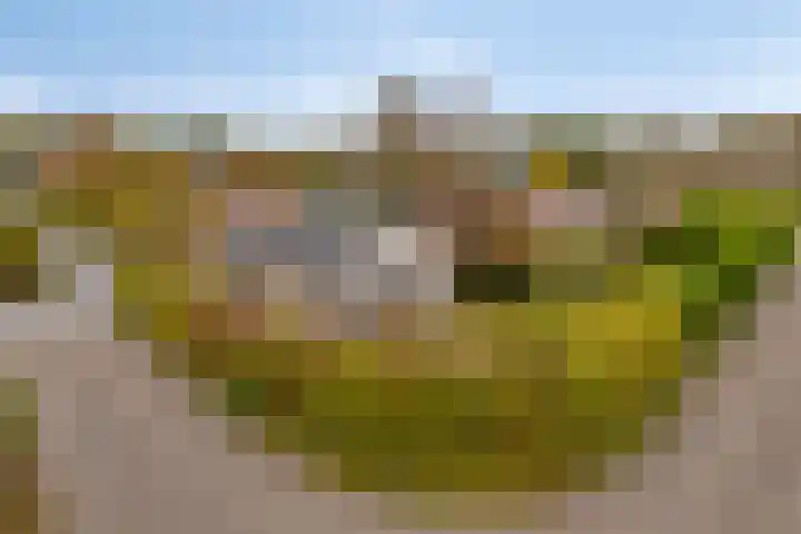 Burgvliet 92 Oostkapelle thumbnail 35