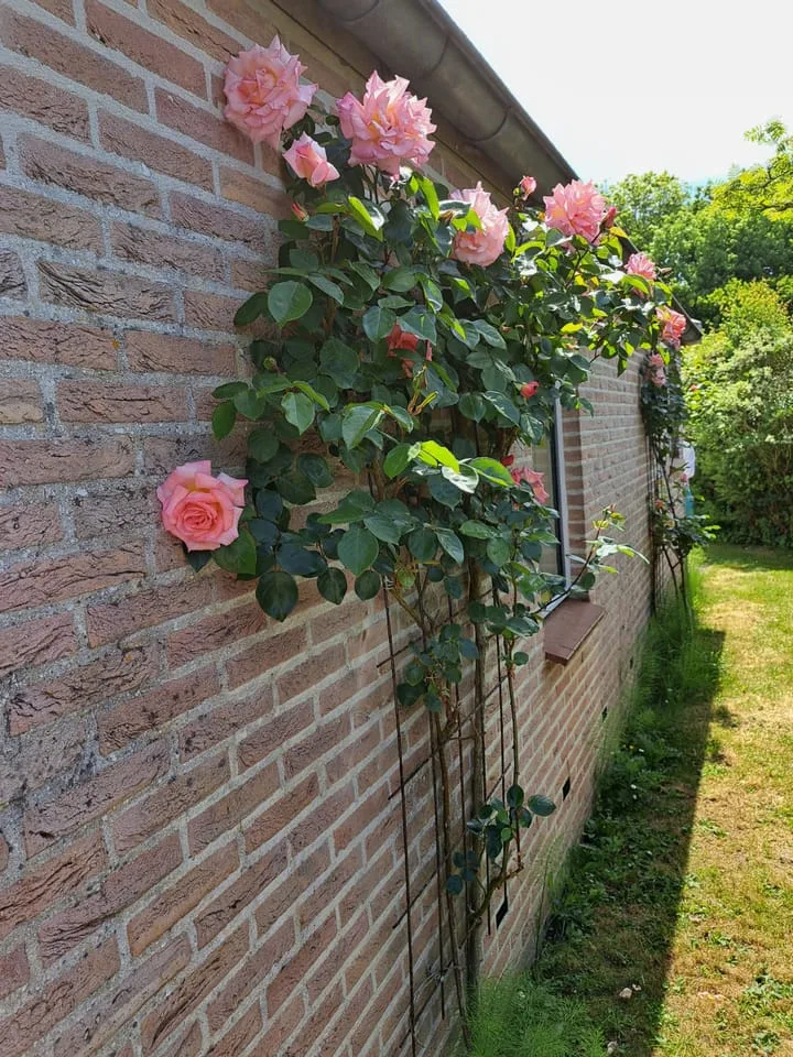 Burgvliet 92 Oostkapelle thumbnail 41