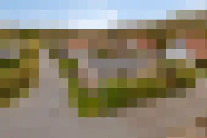 Burgvliet 92 Oostkapelle thumbnail 5