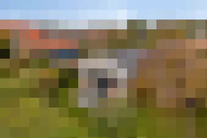 Burgvliet 92 Oostkapelle thumbnail 6