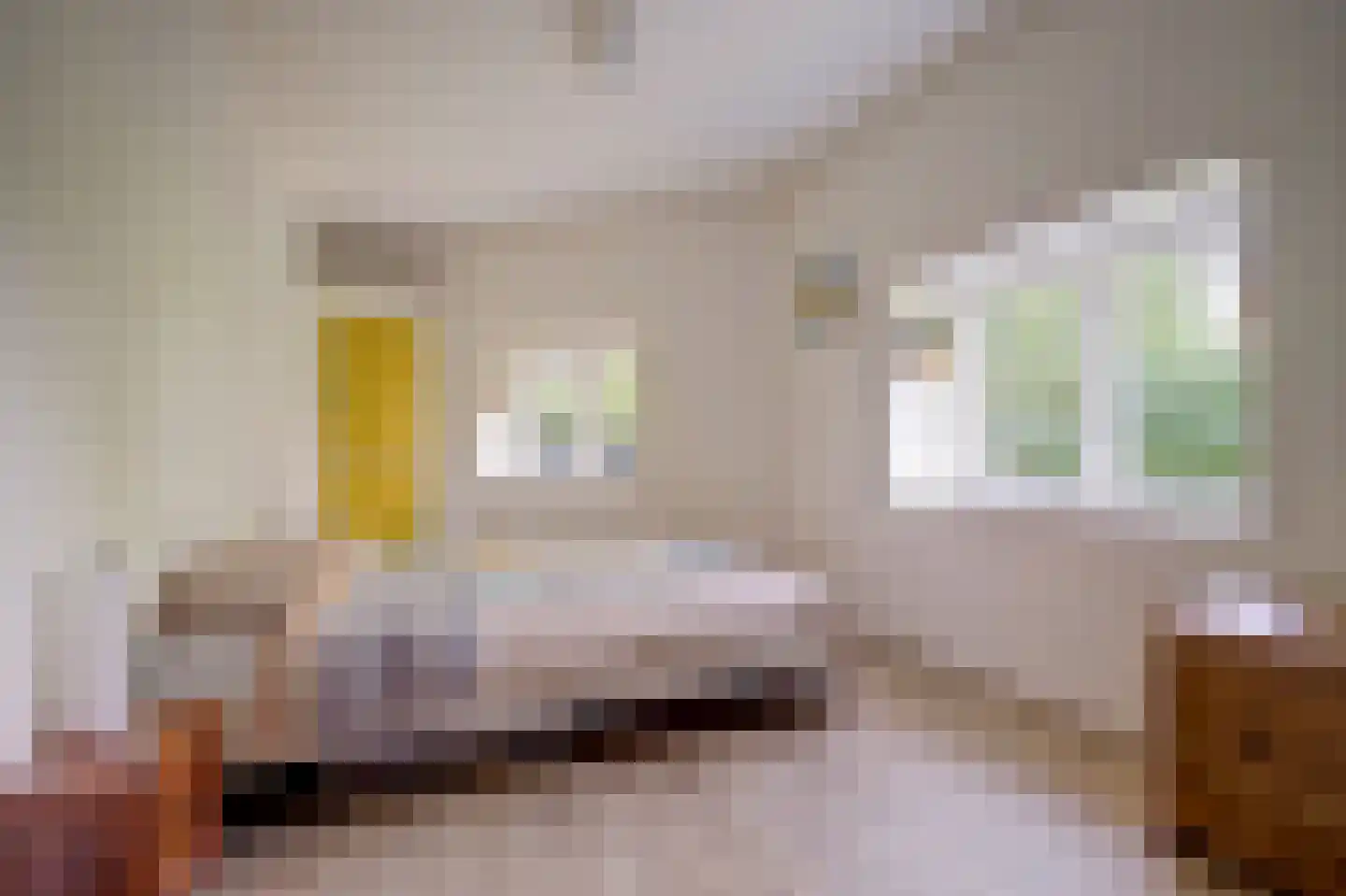 Burgvlietkade 103 Gouda thumbnail 12