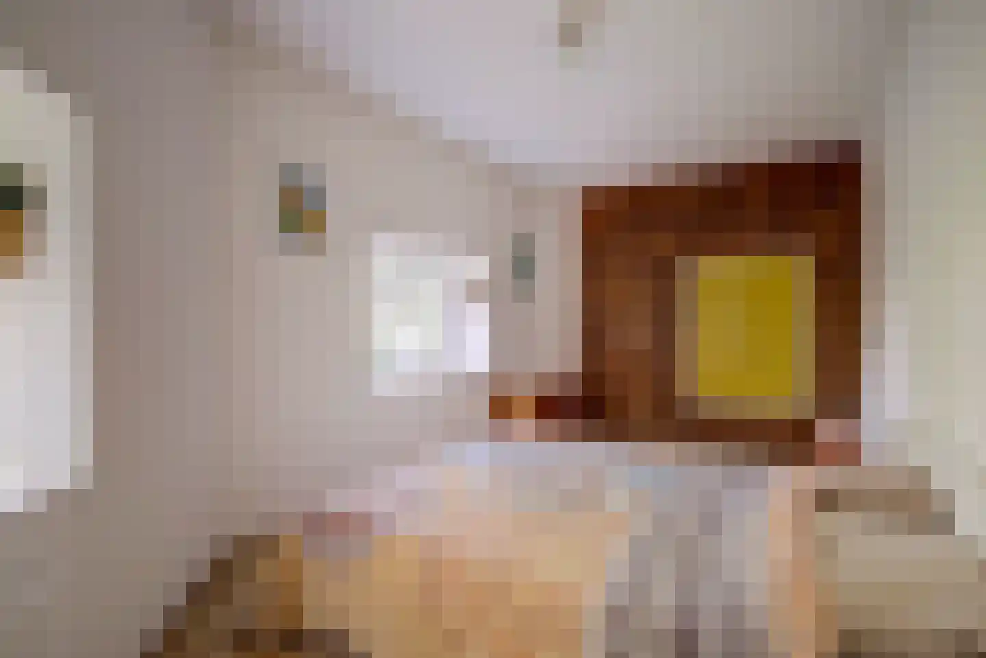 Burgvlietkade 103 Gouda thumbnail 13