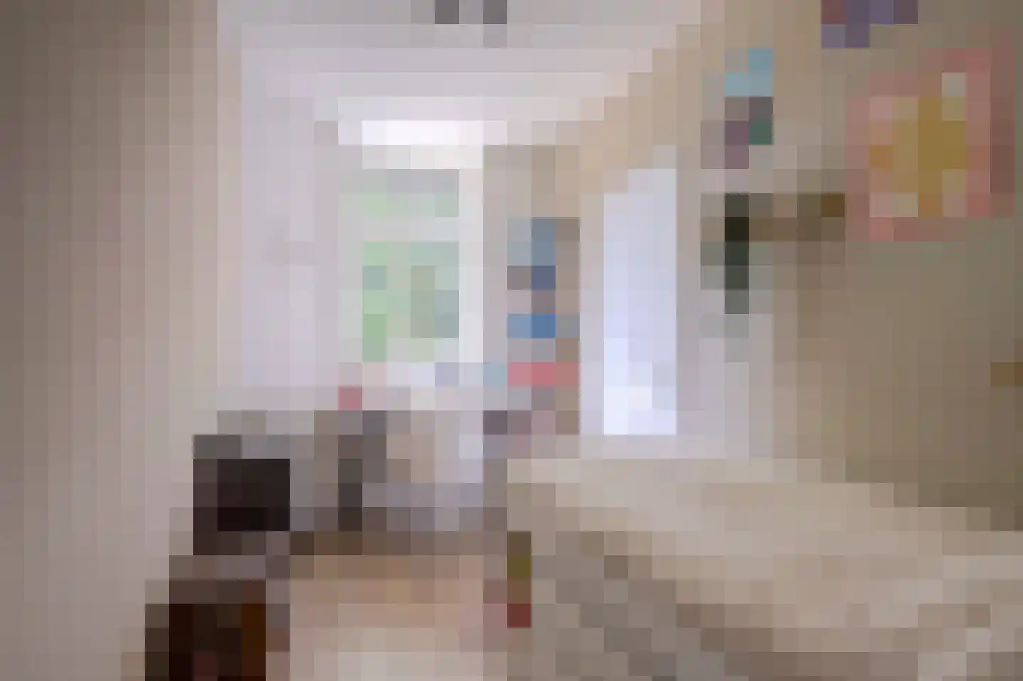Burgvlietkade 103 Gouda thumbnail 16