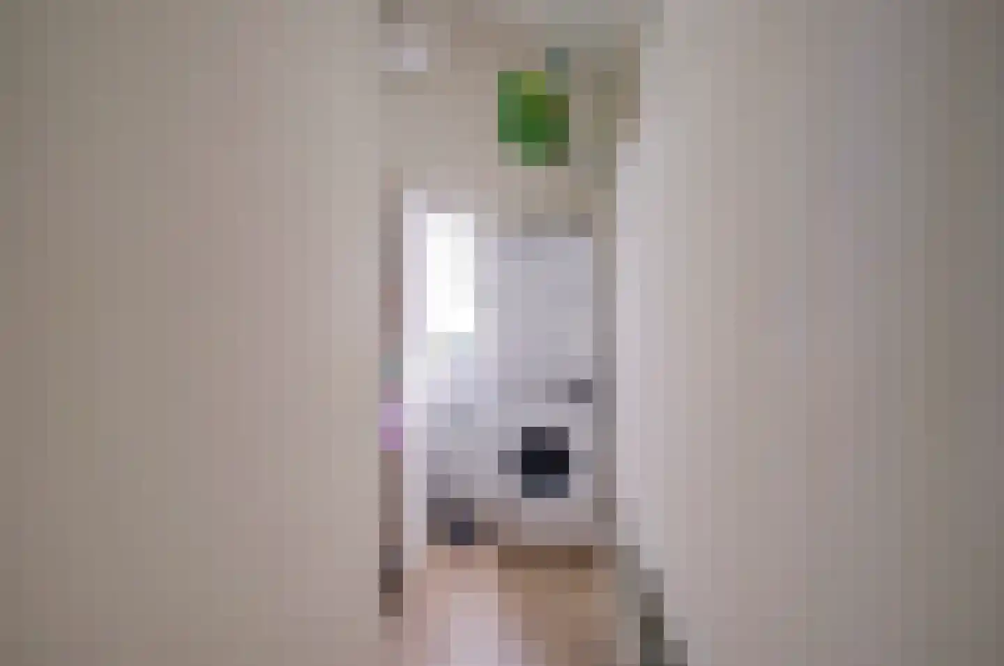 Burgvlietkade 103 Gouda thumbnail 17