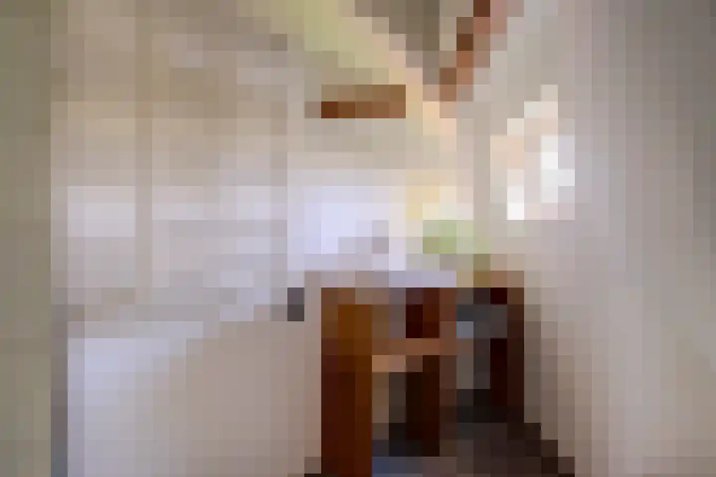 Burgvlietkade 103 Gouda thumbnail 18