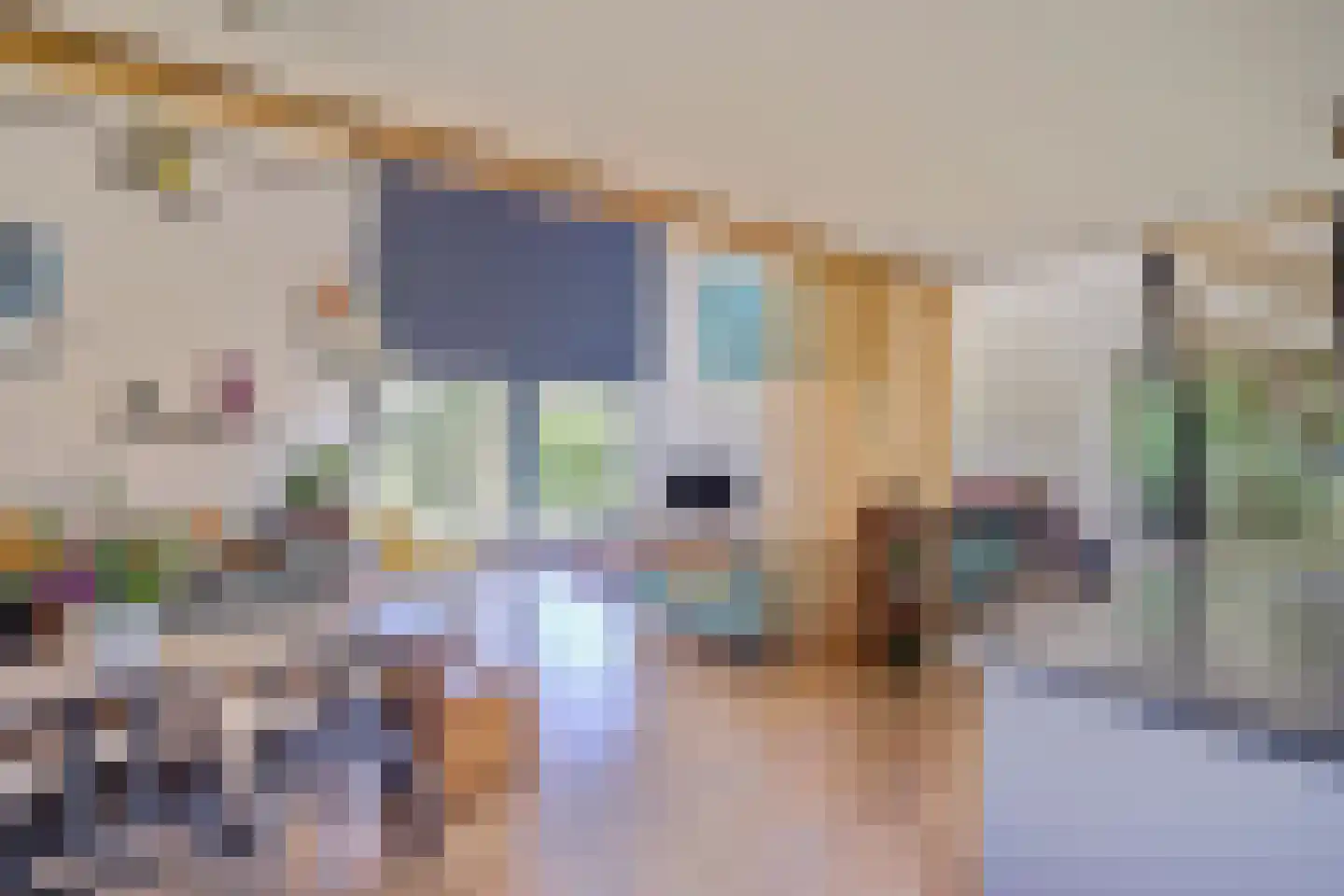 Burgvlietkade 103 Gouda thumbnail 24