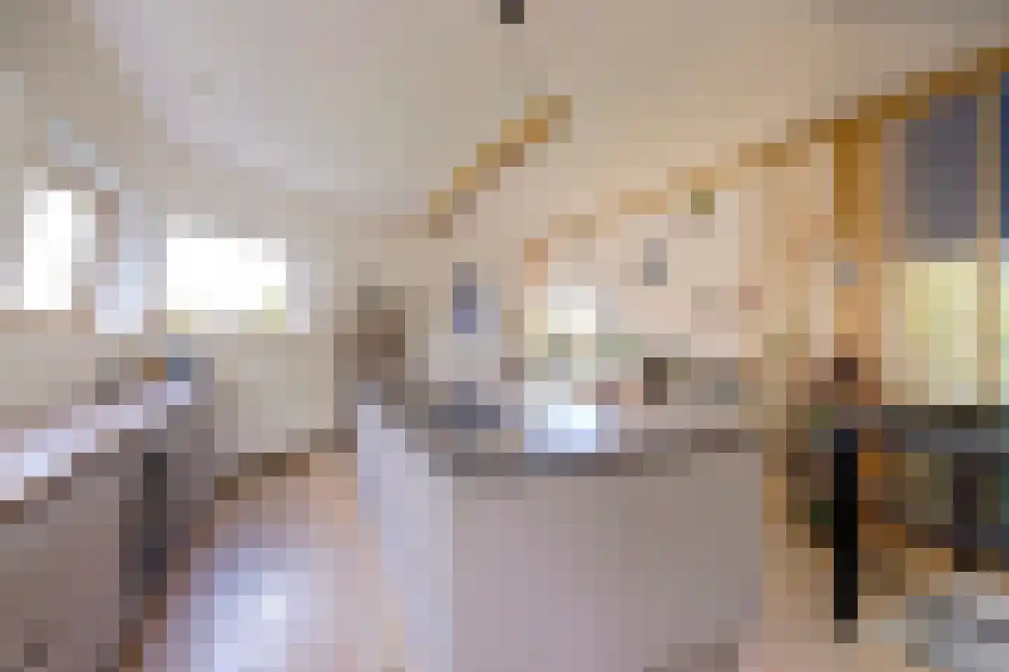 Burgvlietkade 103 Gouda thumbnail 28