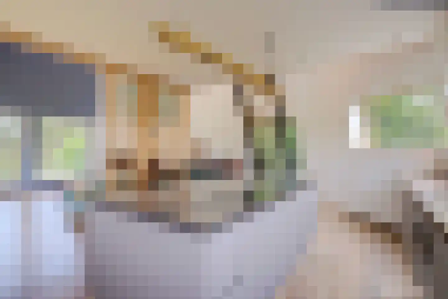 Burgvlietkade 103 Gouda thumbnail 5
