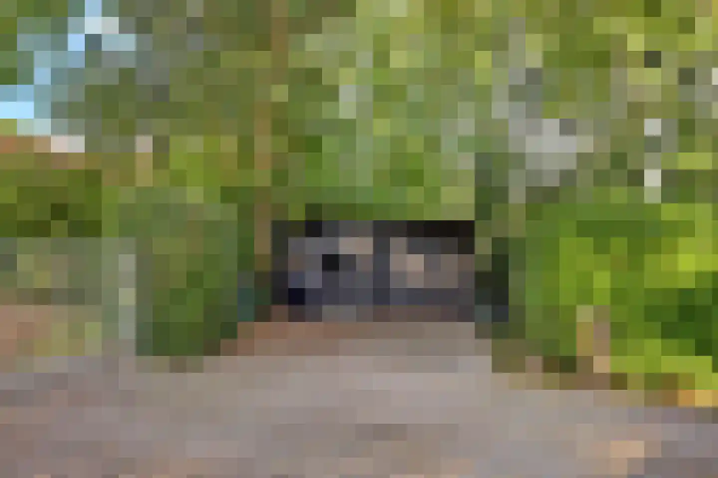 Burgvlietkade 103 Gouda thumbnail 52