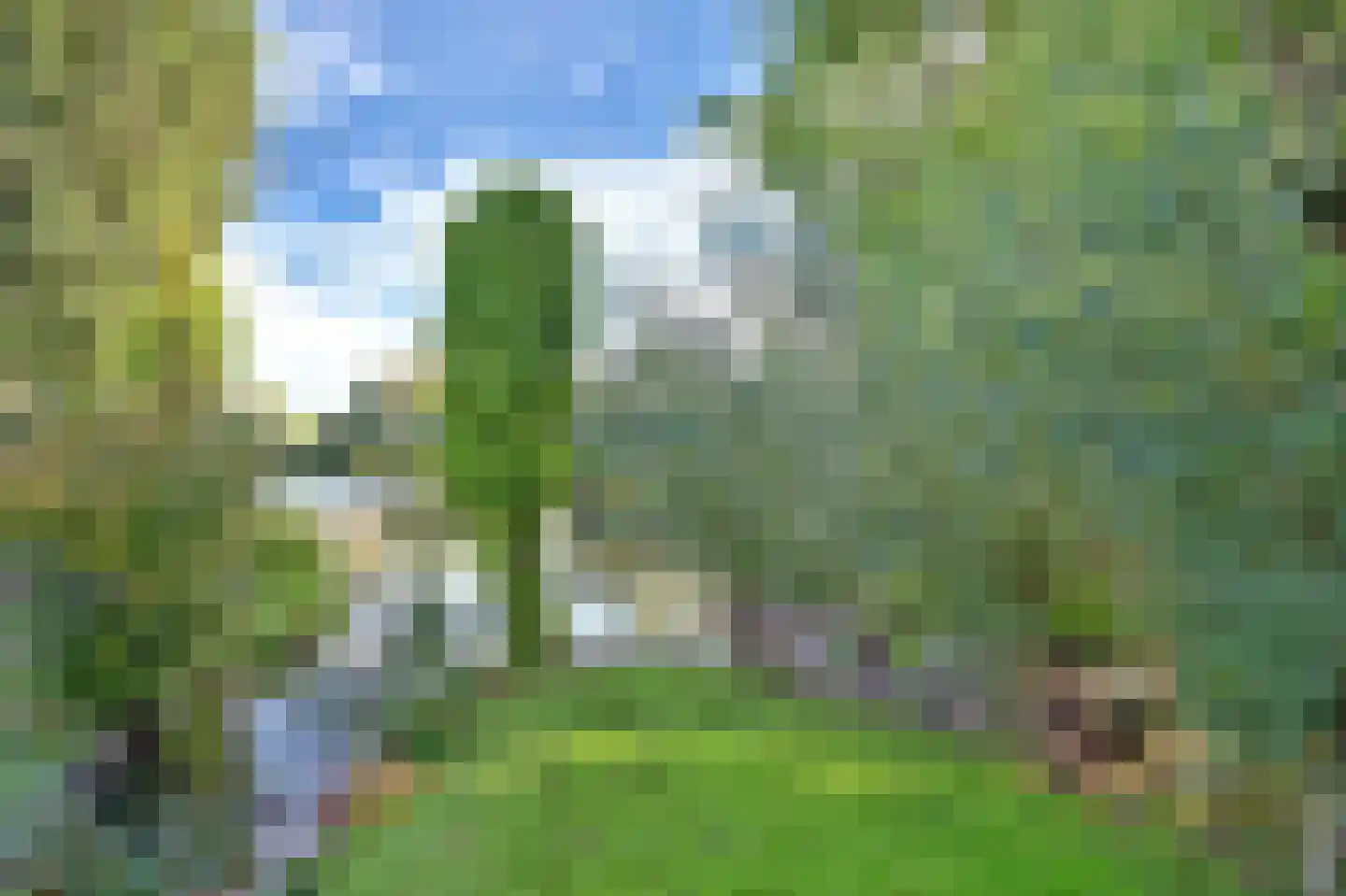 Burgvlietkade 103 Gouda thumbnail 54