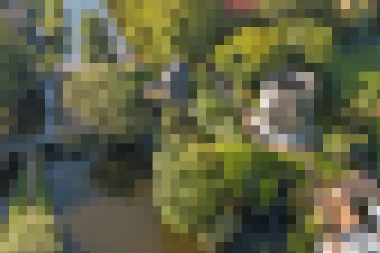 Burgvlietkade 103 Gouda thumbnail 57