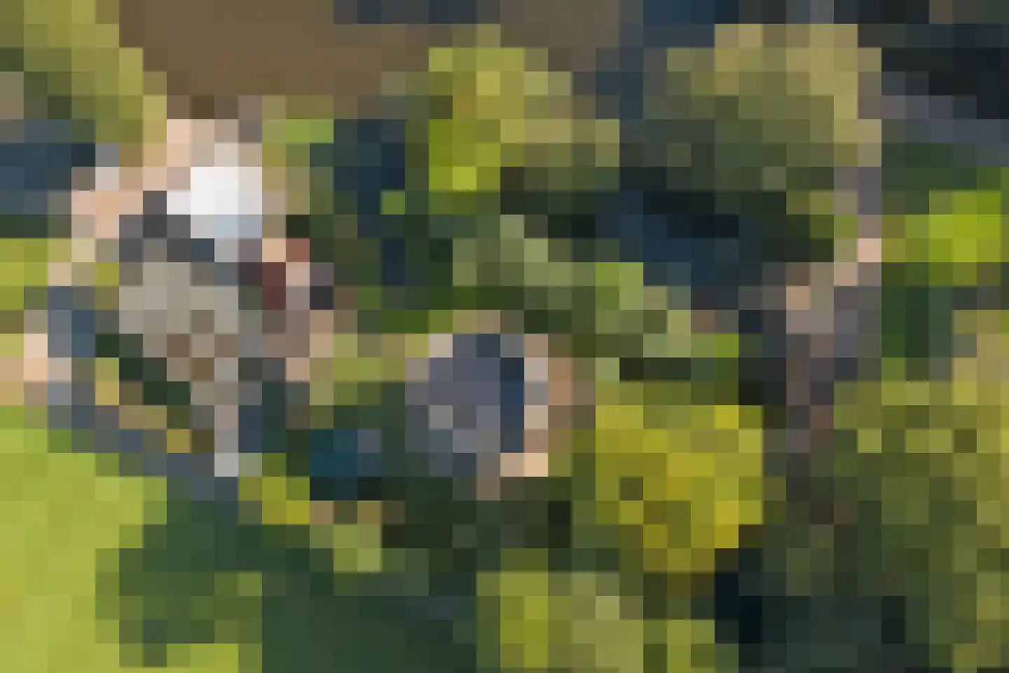 Burgvlietkade 103 Gouda thumbnail 58