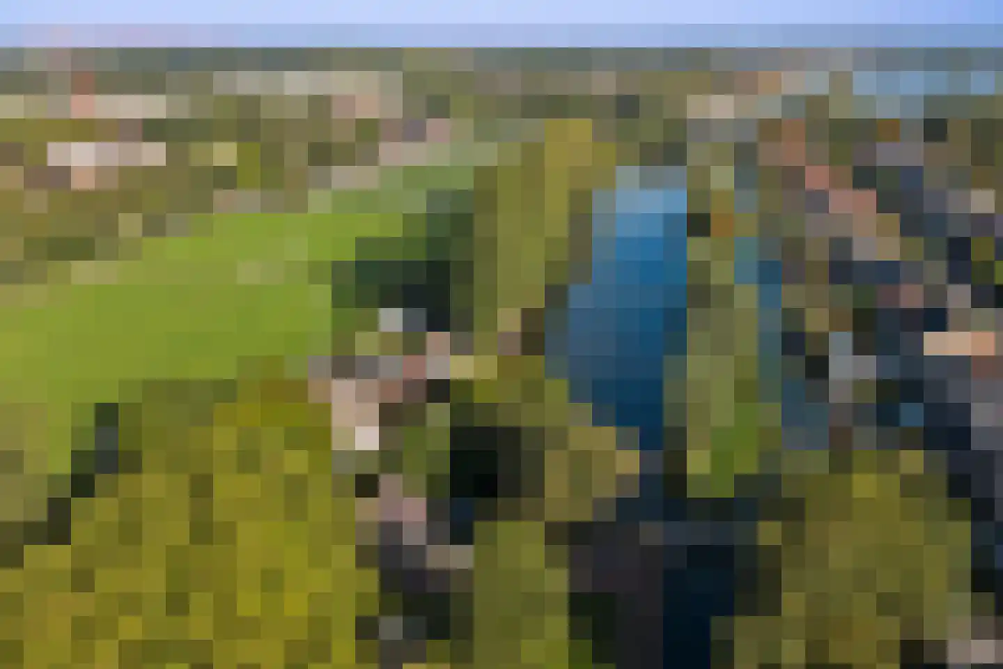 Burgvlietkade 103 Gouda thumbnail 59