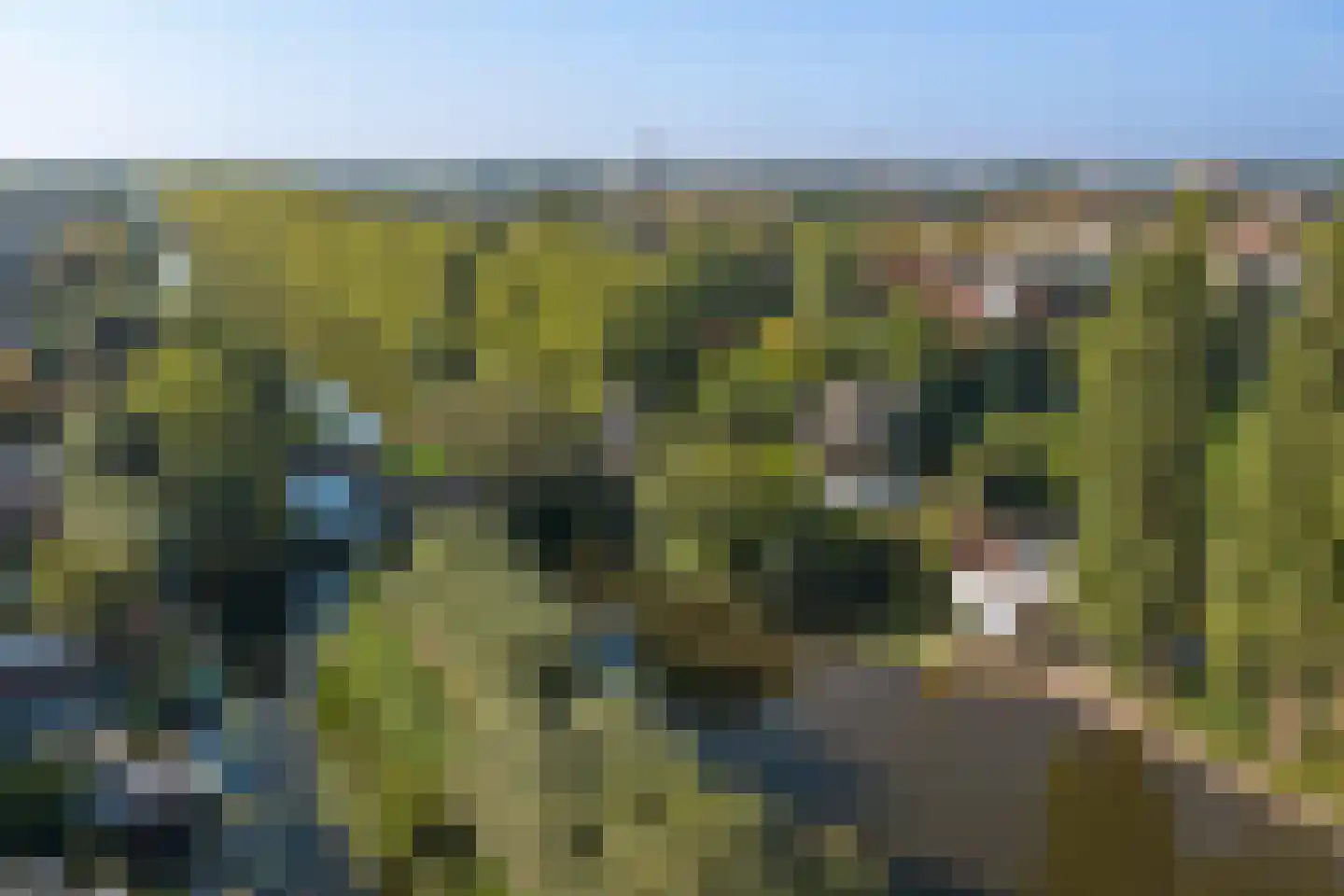 Burgvlietkade 103 Gouda thumbnail 65