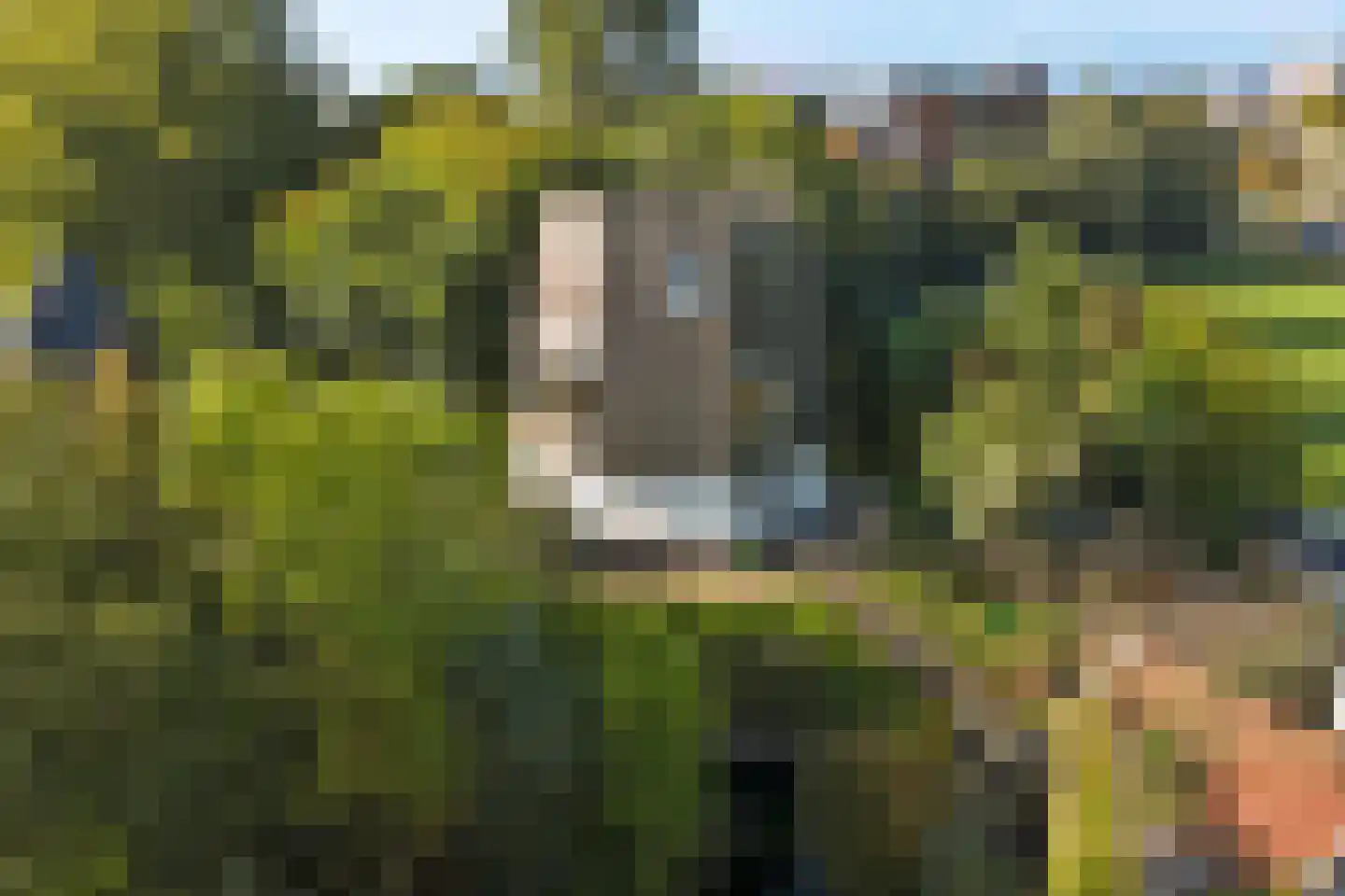 Burgvlietkade 103 Gouda thumbnail 66