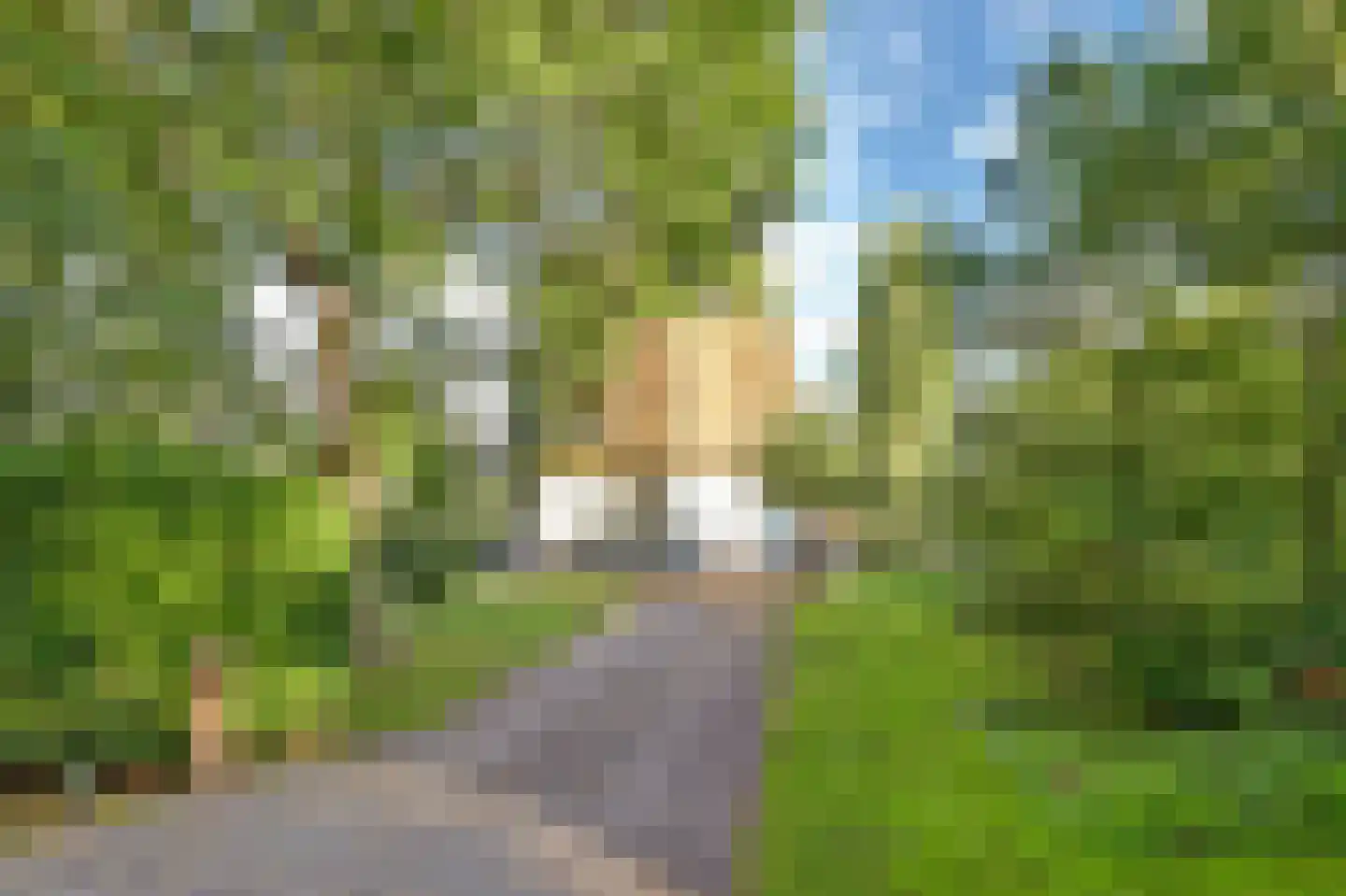 Burgvlietkade 103 Gouda thumbnail 8