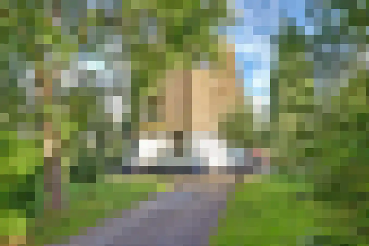 Burgvlietkade 103 Gouda thumbnail 9