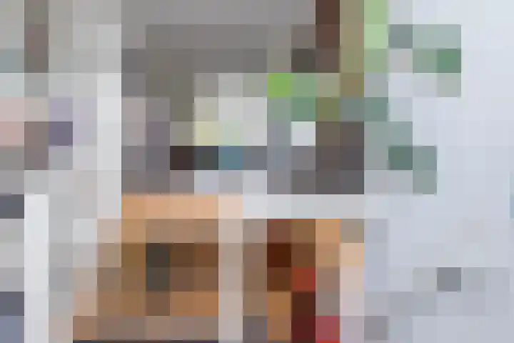 Burgvlietkade 17 Gouda thumbnail 20