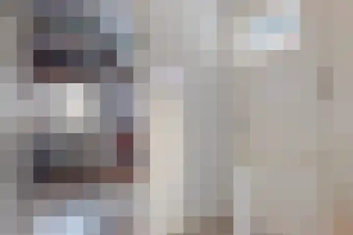 Burgvlietkade 17 Gouda thumbnail 46