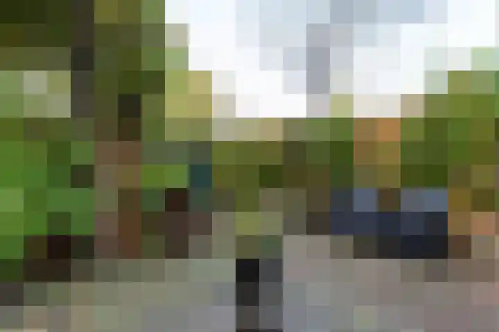 Burgvlietkade 17 Gouda thumbnail 56