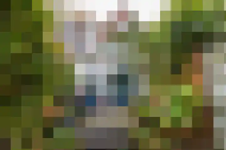 Burgvlietkade 17 Gouda thumbnail 58