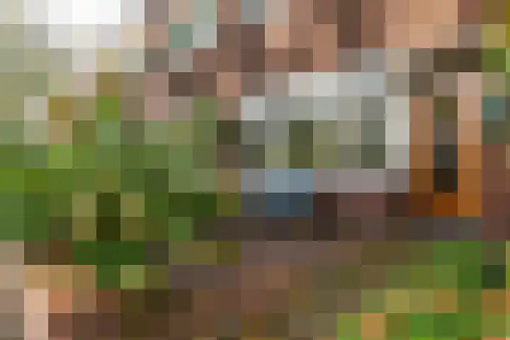 Burgvlietkade 17 Gouda thumbnail 6