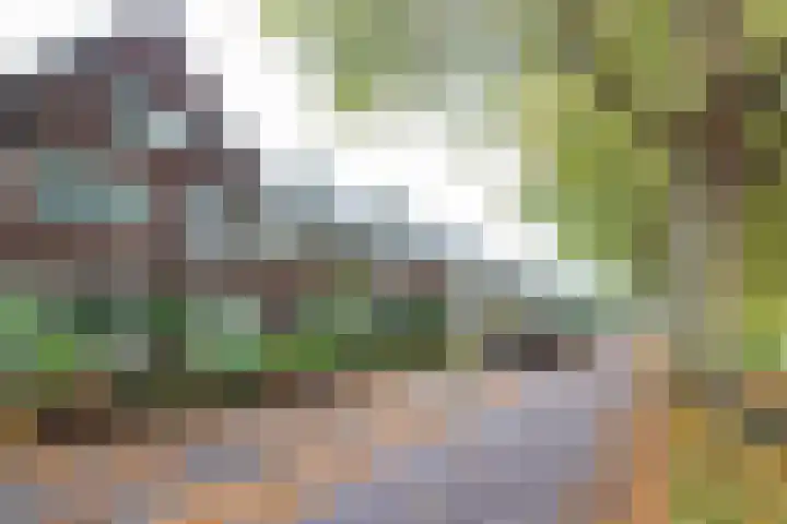 Burgvlietkade 17 Gouda thumbnail 7