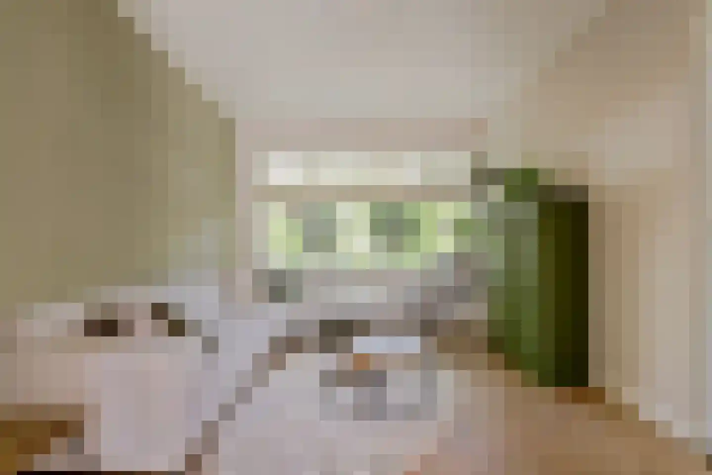 Burgvlietkade 18 Gouda thumbnail 12
