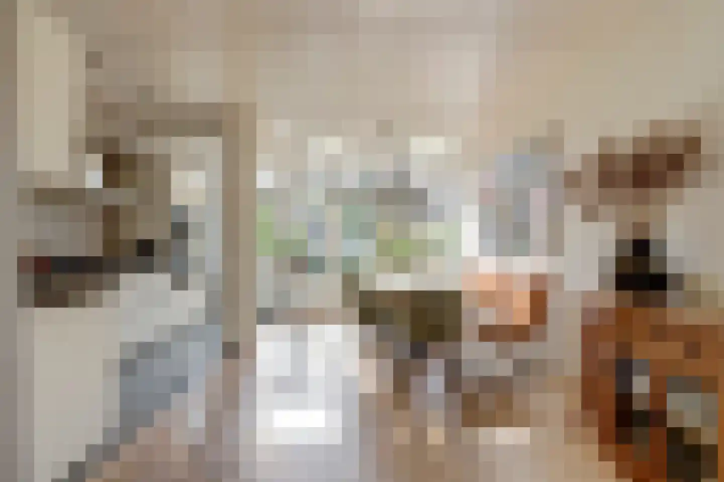 Burgvlietkade 18 Gouda thumbnail 15
